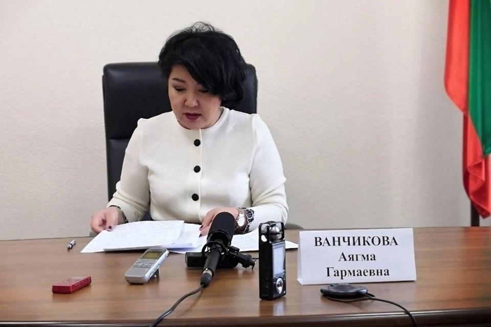 Замгубернатора Забайкалья Ванчикова задекларировала доход в 5,3 миллионов рублей