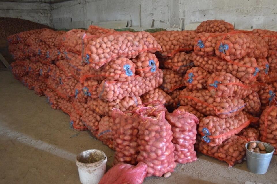 Картофель, яйца и чай стали дороже за неделю в Забайкалье — Минэконом