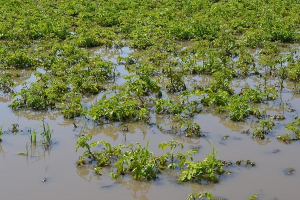 79 миллионов рублей распределят между пострадавшими от потопа фермерами и крестьянами Забайкалья