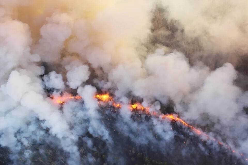 В Петровск-Забайкальском и Бадинском лесничествах открыли 21 марта пожароопасный сезон
