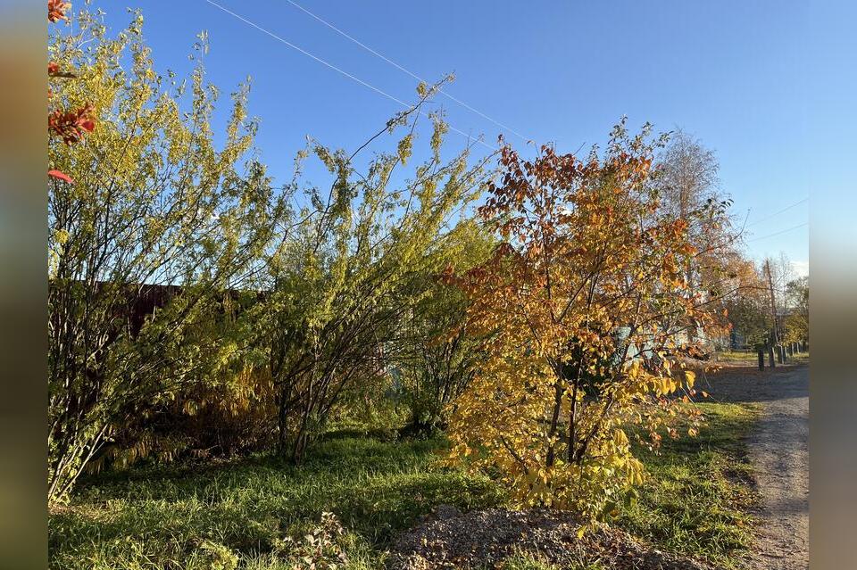 Гороскоп для жителей Забайкальского края на 27 октября