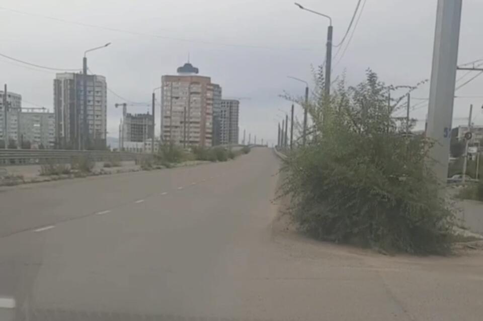 Деревья в человеческий рост выросли на мосту через Каштакское кольцо