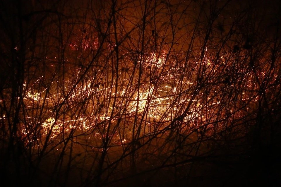 Пожар в Ононском районе разошёлся на 13 тысяч гектаров