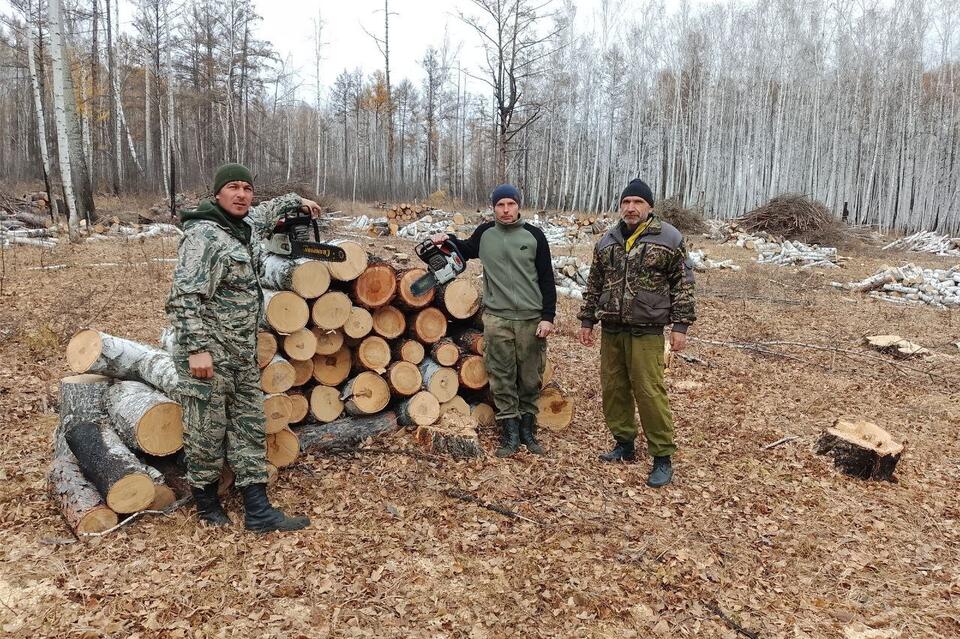 На Аргунском участке «Забайкаллесхоза» продолжается заготовка древесины