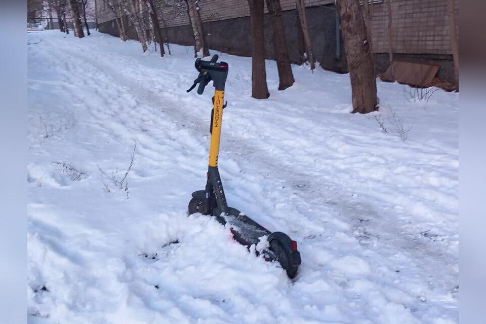 Депутаты предлагают навести порядок с самокатами