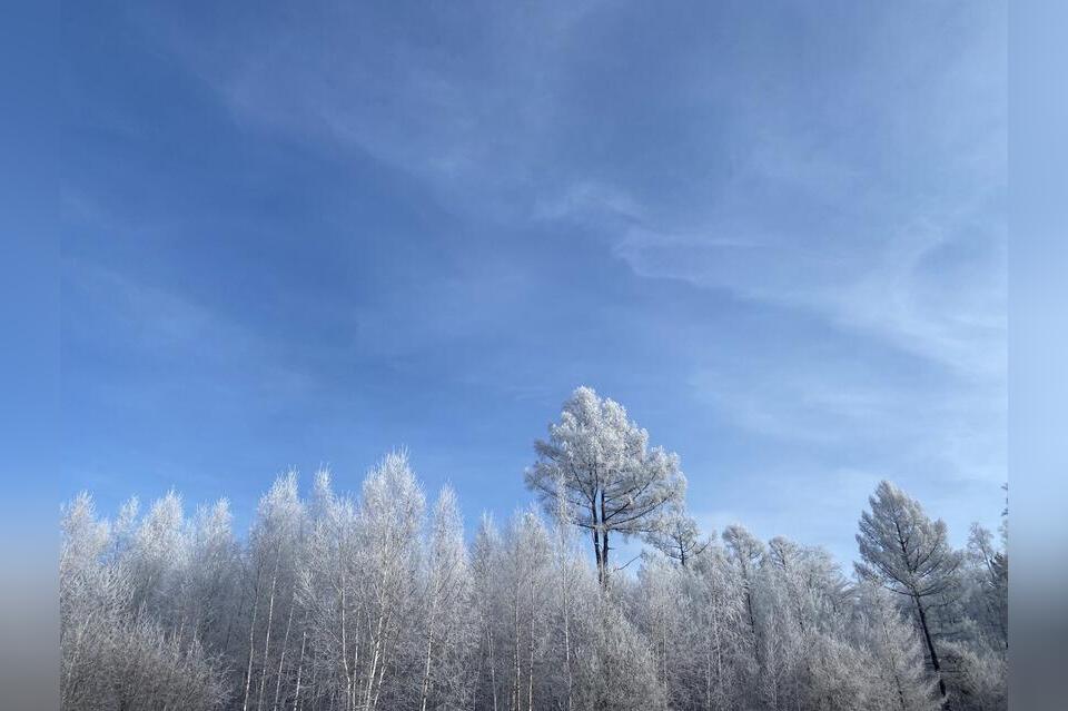 Заб зап