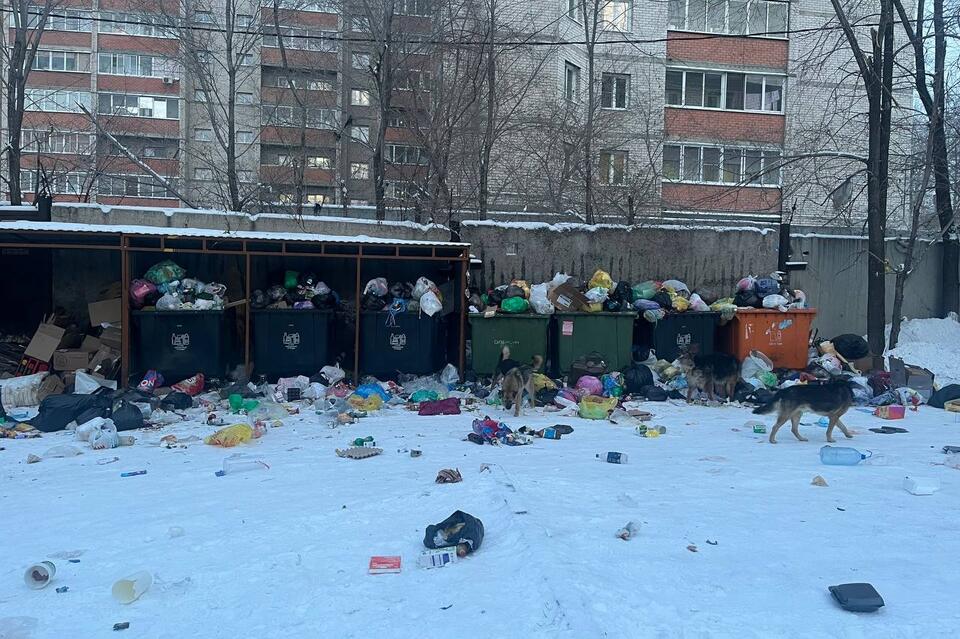 Двор по улице 1-я Московская утопает в мусоре