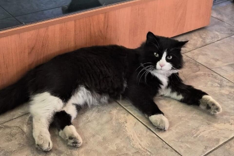 Необычное назначение состоялось в Забайкалье