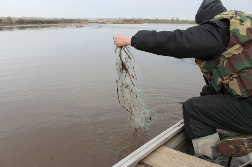 Два забайкальца понесли наказание за вылов краснокнижной рыбы