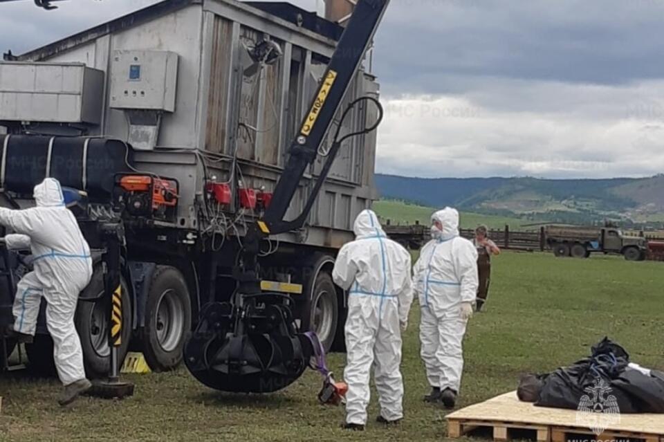 Условный очаг птичьего гриппа ликвидировали на читинской птицеферме