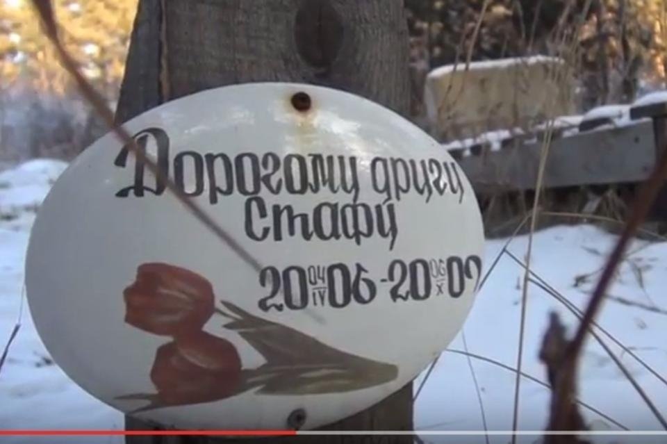Прокуратура обязала Минприроды ликвидировать кладбище домашних животных на СибВО