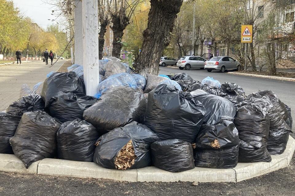 Сапожников предложил отказаться от помешочного сбора мусора