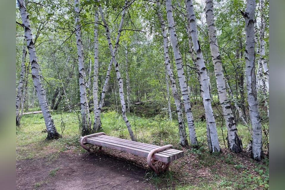 Пожарные обустроили площадку для отдыха в лесу Петровск-Забайкальского округа