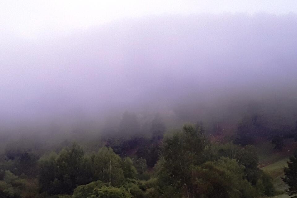 Дожди, грозы и туман – прогноз погоды на 16 августа в Забайкальском крае