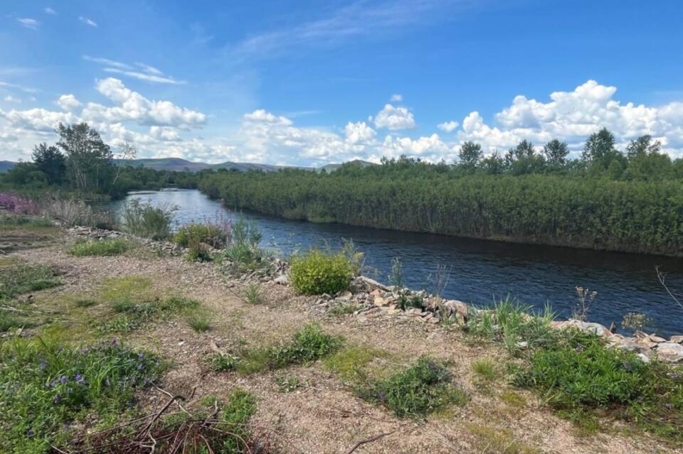 Временные насыпи строят в ДНТ «Шишкино-Остров»