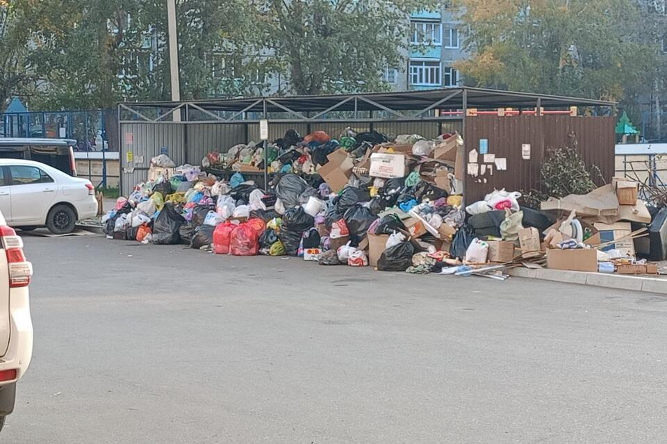 Жители 1-го микрорайона: «из-за мусора уже появились крысы»