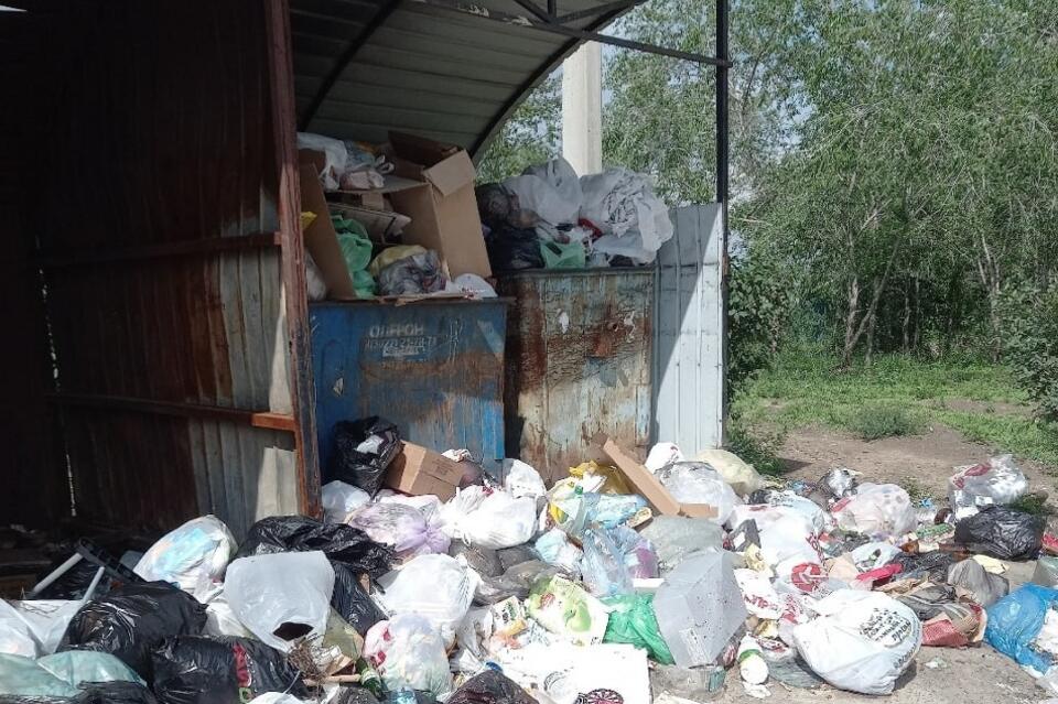 Поселок ГРЭС утопает в мусоре