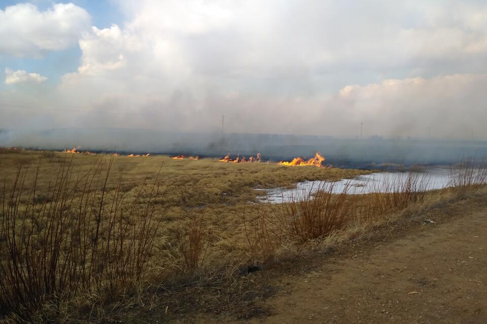 Александр Осипов рассказал о «руководителях, бегающих с факелами»