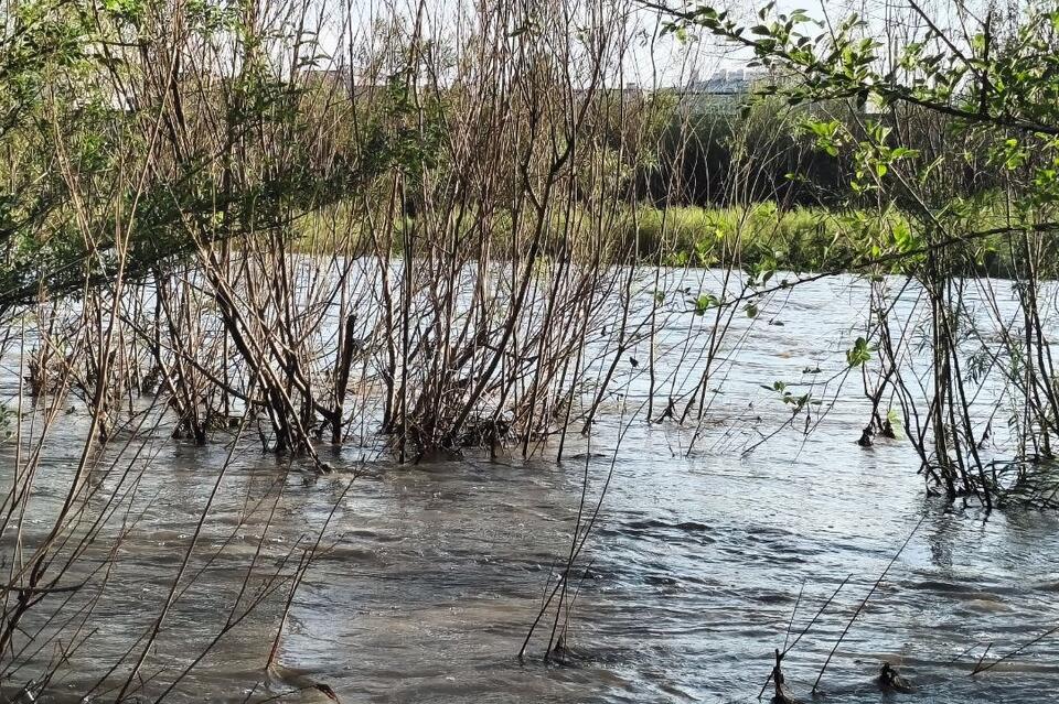 Минприроды: река Чита пережила третью волну паводка за три месяца