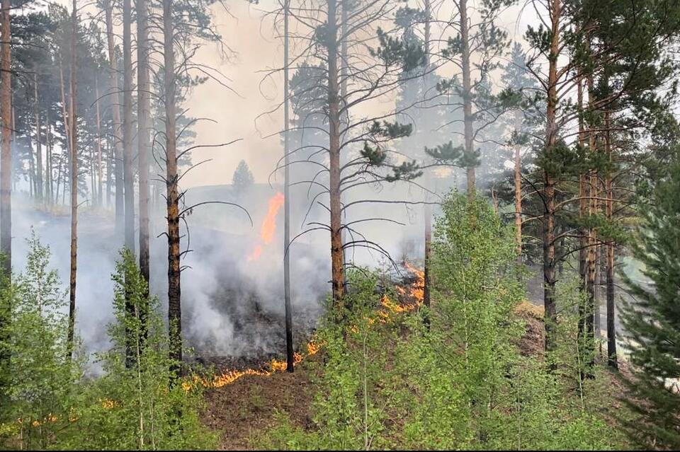 В округе Забайкалья очистят минерализованные полосы
