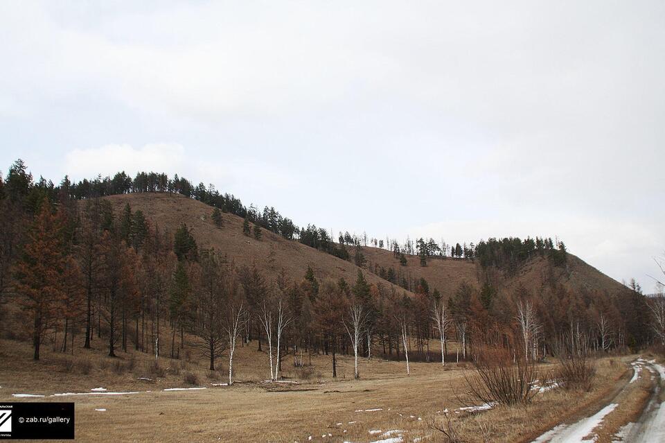 Два месторождения освоят в Забайкалье