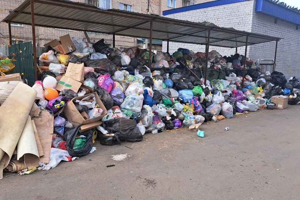 Мусорки полностью заполнены на улице Шестиперова — жители обеспокоены ситуацией