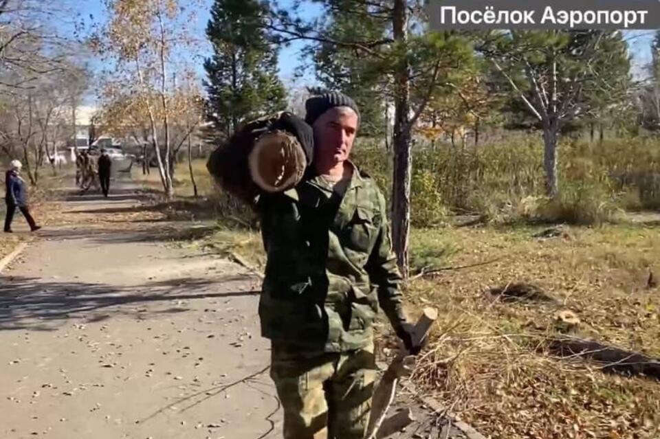 В Чите в парке Авиаторов спилили деревья – очевидцы