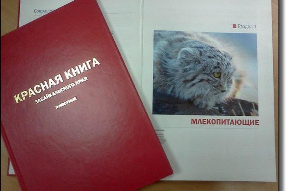 Работы по изданию Красной книги Забайкалья идут по графику