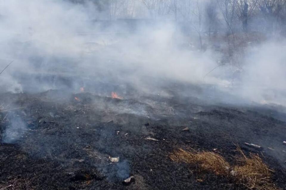 Свалка загорелась в районе школы №17 в Чите
