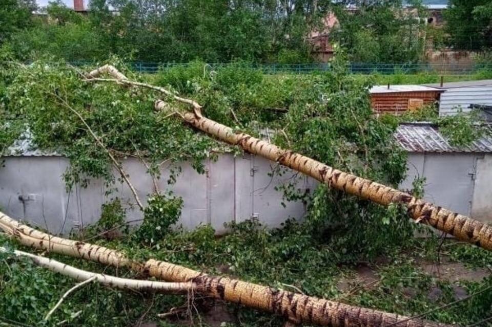 В Кокуе штормом с корнем вырвало деревья и разрушило стадион