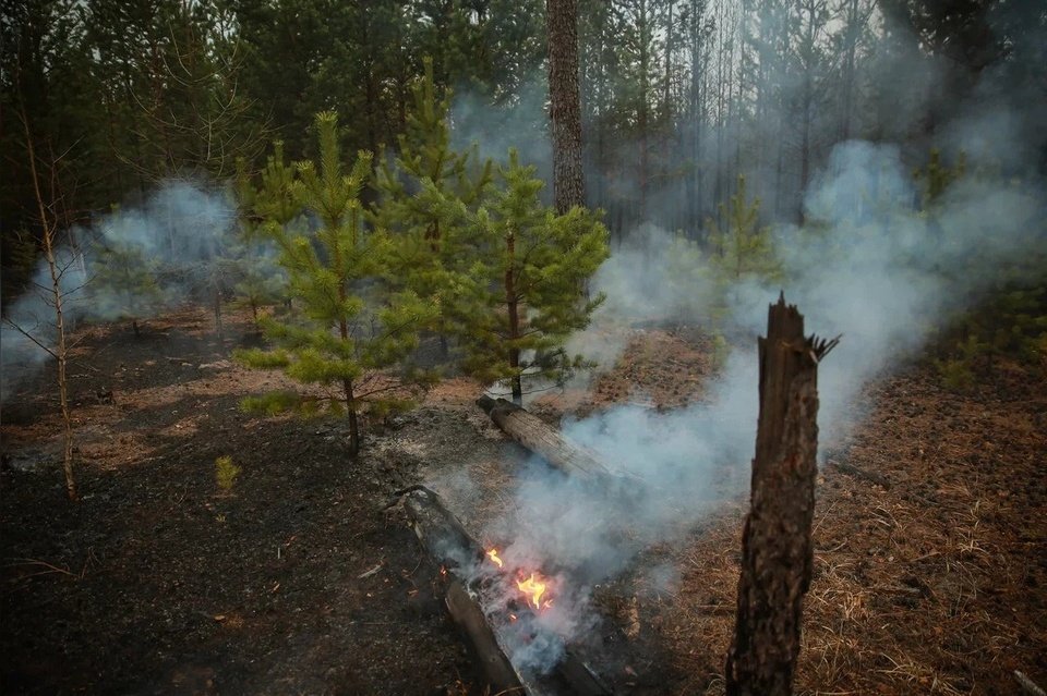 Синоптики прогнозируют высокую пожарную опасность в районах Забайкалья