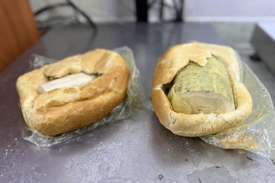 Иностранец пытался незаконно вывезти бивни моржа через Забайкалье