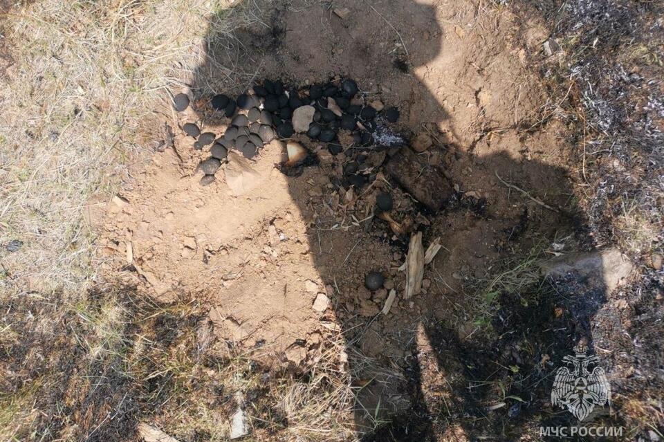 Стала известна причина пожара в Засопке