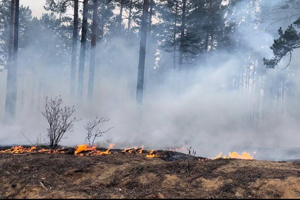Осипов: Забайкалье на 76% готово к предстоящему пожароопасному периоду