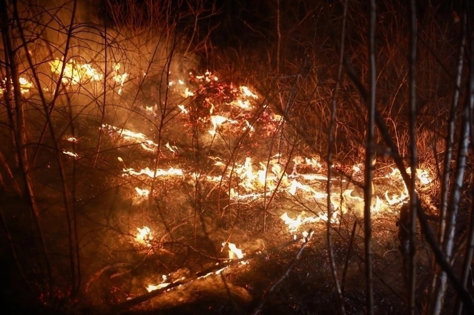 Житель Забайкалья заплатил более 400 тысяч рублей за брошенный в лесу окурок