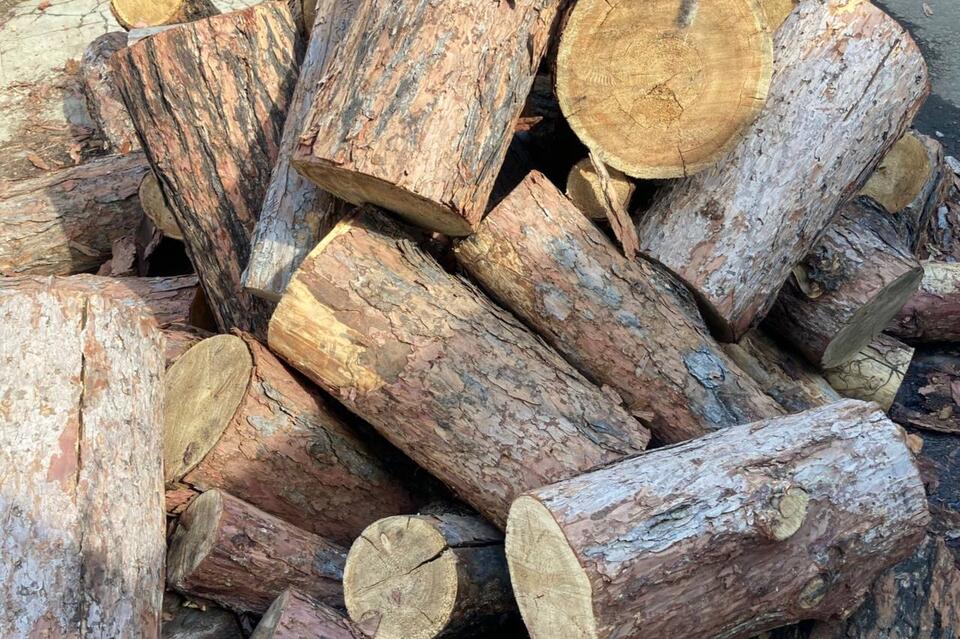 Пенсионерка пожаловалась главе Калганского района из-за высоких цен на дрова
