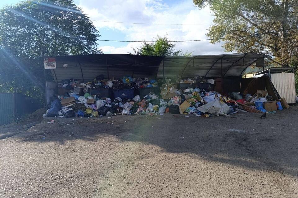 Зловонную свалку на Острове пообещали убрать