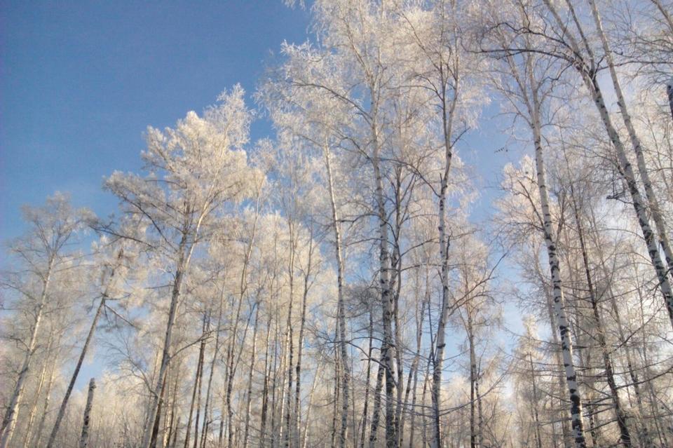 25 января в Забайкальском крае пройдёт снег