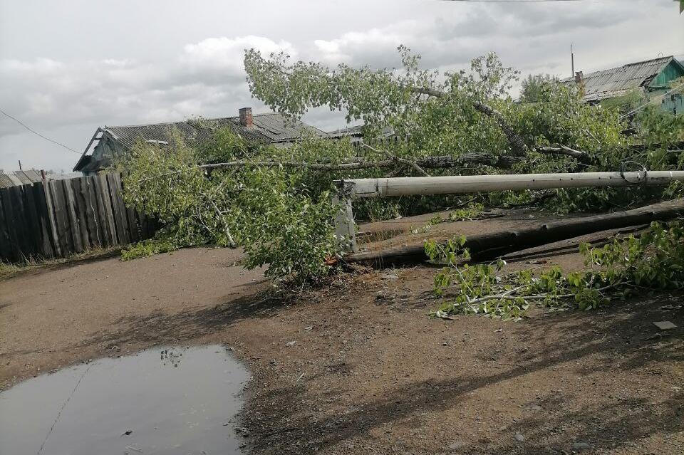 Электроопоры и деревья попадали в Борзе из-за сильного ветра