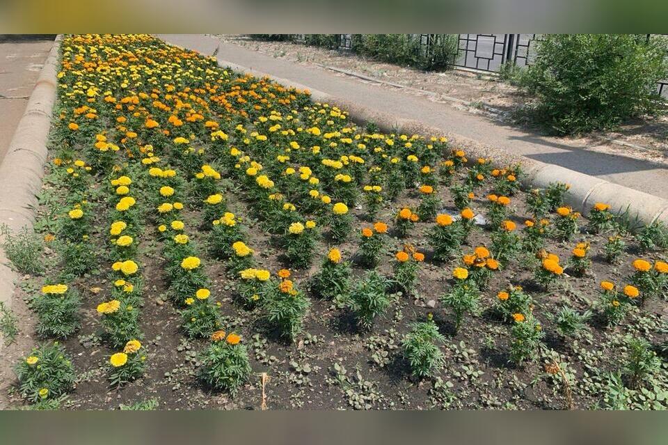 Предприниматели будут обязаны благоустраивать территорию вокруг своих объектов