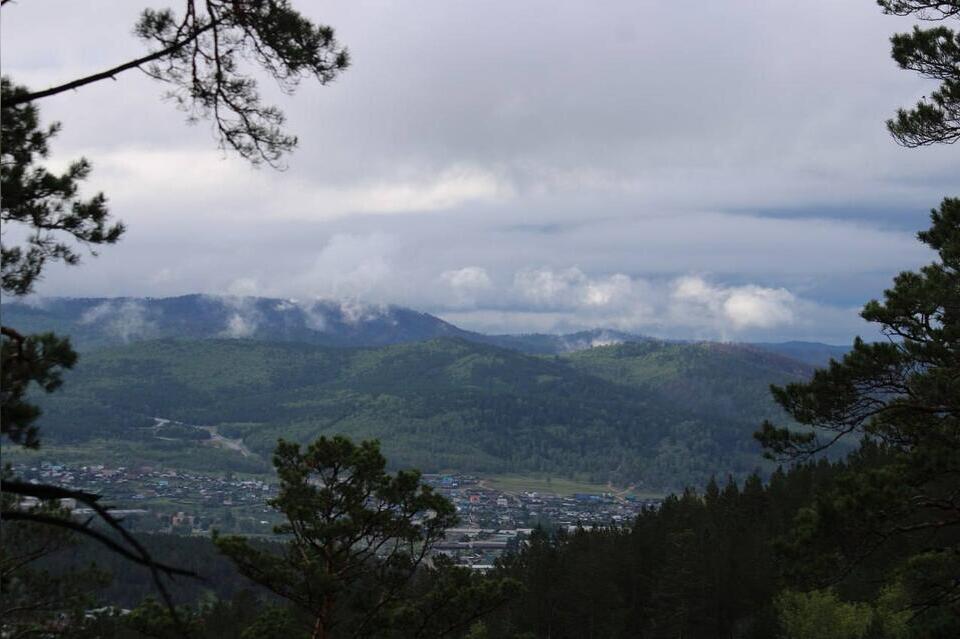 Дожди, грозы и туманы прогнозируют синоптики региону