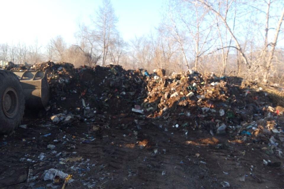 Уголовное дело возбудили за свалку мусора в «Долине дзерена»