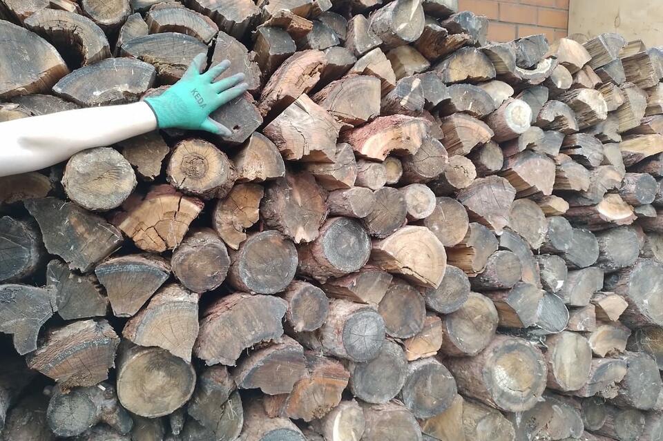 Гортопы могут вернуться в некоторых районах региона