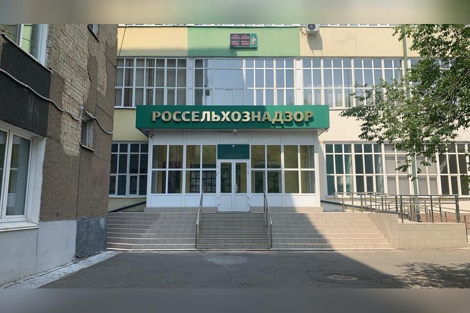 Скот незаконно пытались вывезти из Забайкалья