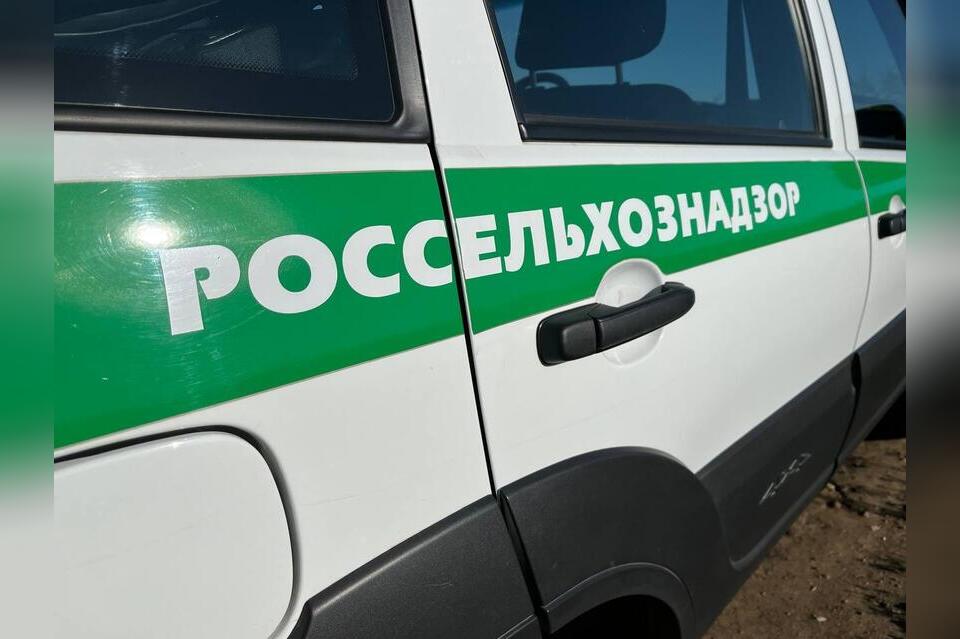 Россельхознадзор в Забайкалье проверил более 300 тысяч срезанных цветов из Китая