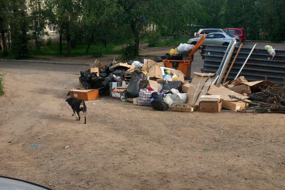 Свалка из картона и пакетов образовалась во дворе Читы