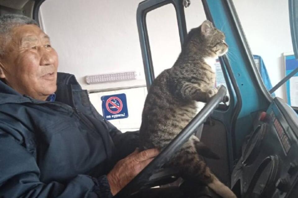 Спасённый пожарными в Забайкалье кот стал «Главным по кухне» в депо