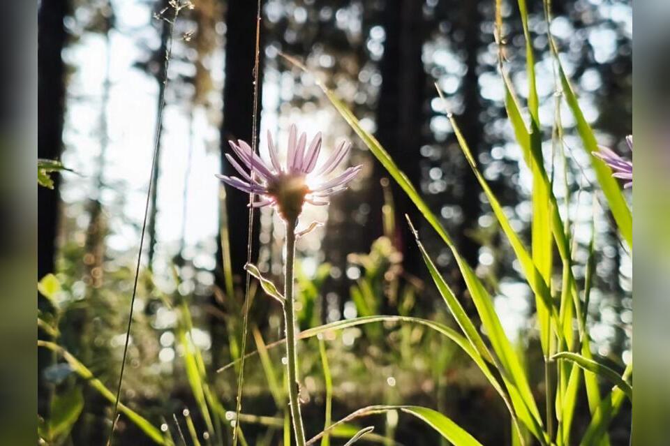 Погода начинает налаживаться в Забайкалье