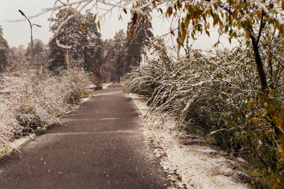 Гороскоп для жителей Забайкальского края на 12 ноября