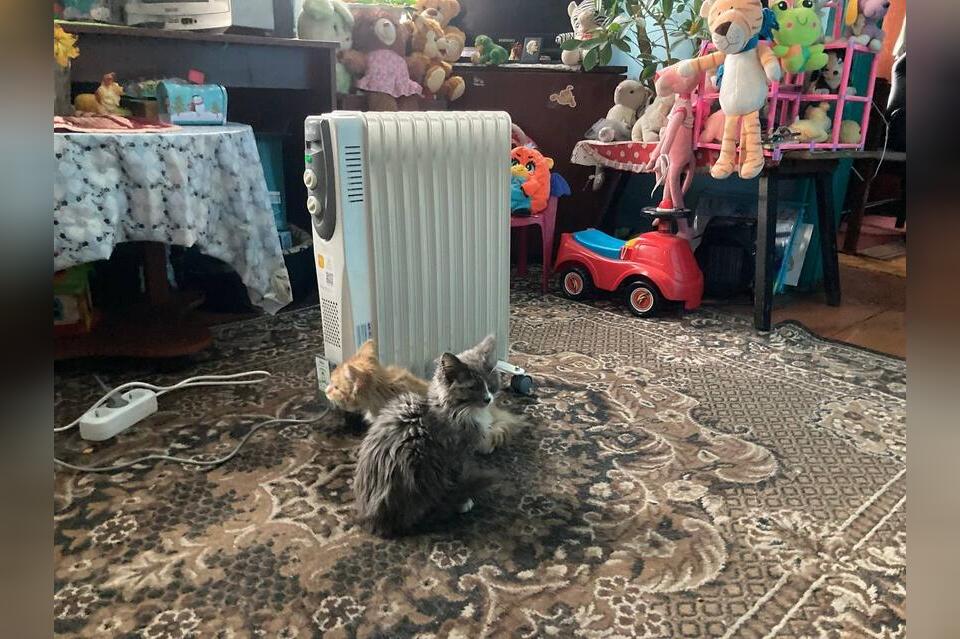 Продажи обогревателей в ДФО выросли на 75% на фоне похолодания